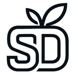 NS Logo