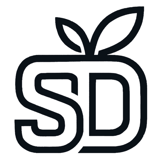 NS Logo