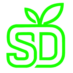 NS Logo